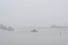 Hochwasser und Nebel am Rhein