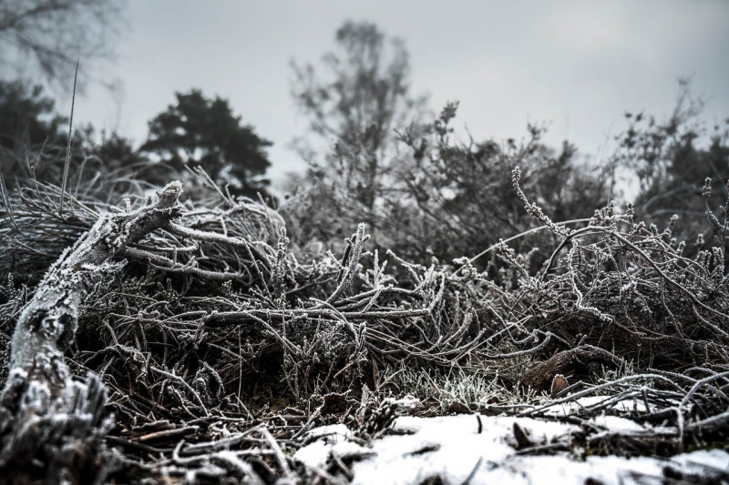 Winterlandschaft